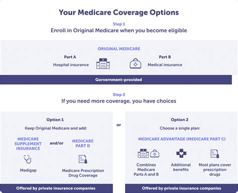 Plan Options and Coverage
