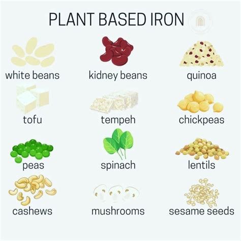 Plant-Based Iron Sources