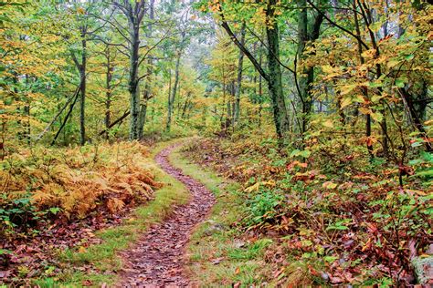 Popular Natural Paths and Trails