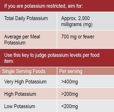 Potassium Intake