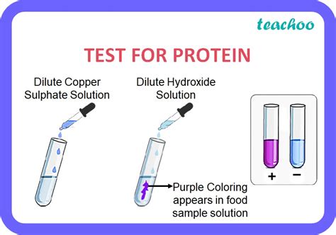 Practical Considerations for 5T Protein Test