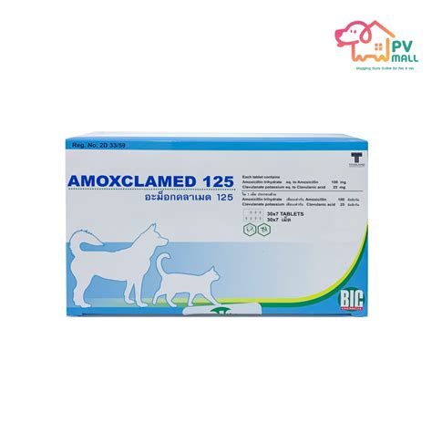 Practical Considerations for Amox Clav 875 125 Mg