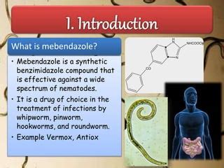 Practical Examples of Mebendazole Treatment