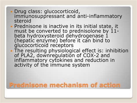 Prednisone Mechanism