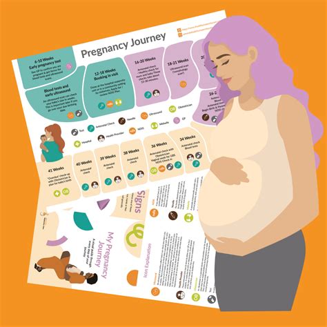 Pregnancy journey and next steps