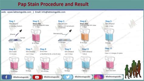 Preparation for Papanicolaou Test