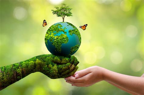 Preserving the Environment