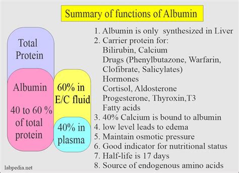 Prevention Management Albumin Levels
