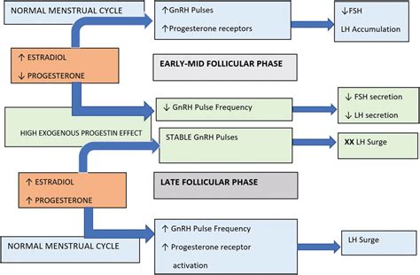 Progestin BCPs and Future Fertility