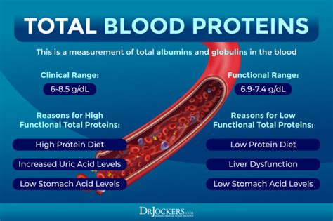 Protein Total Blood Test Results: Future Directions