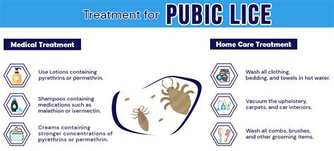 Pubic Lice and Pregnancy