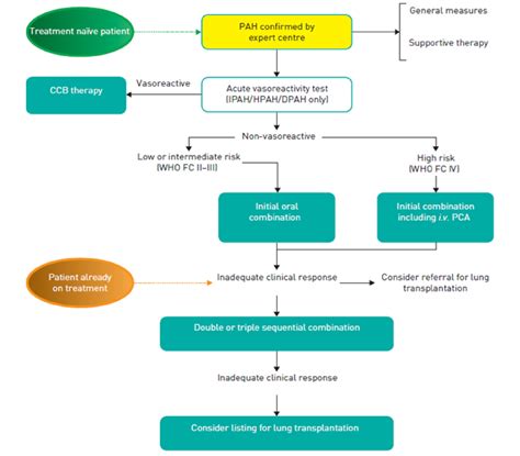 Pulmonary Arterial Hypertension Treatment