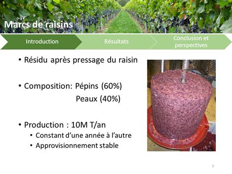Conclusion and Future Directions