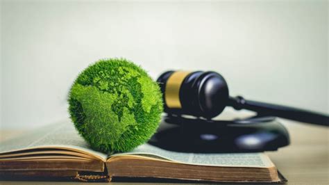 Regulatory Environment