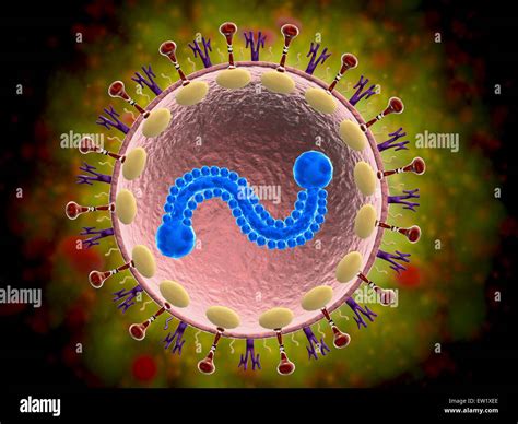 Respiratory Syncytial Virus