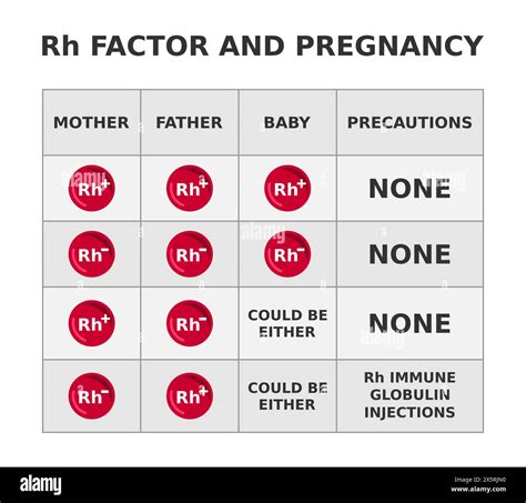 Rh Blood Type and Pregnancy