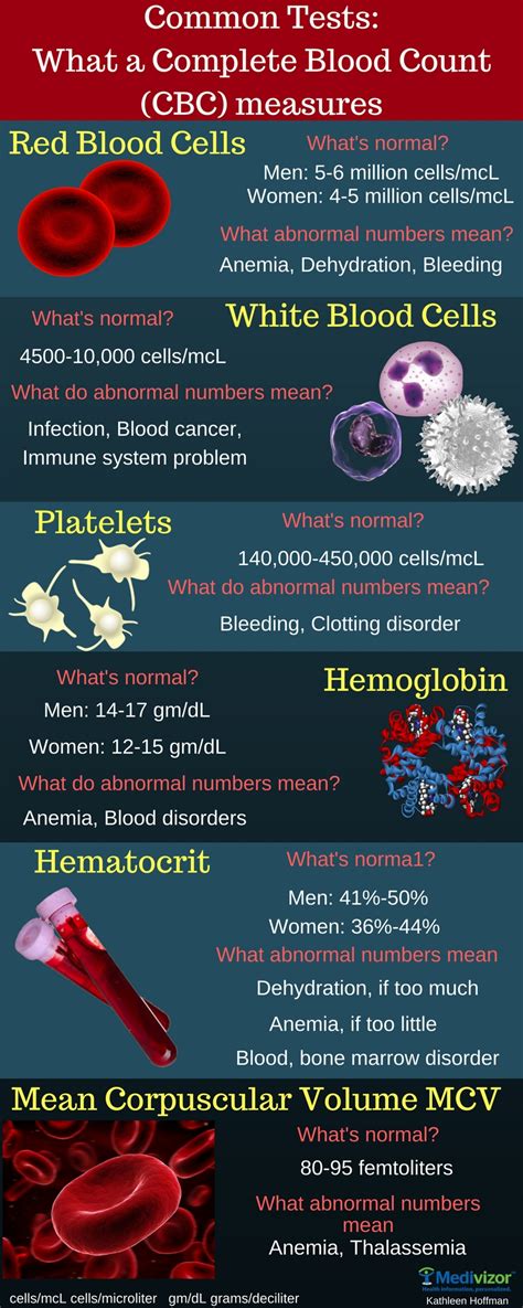 Risks and Complications of Complete Blood Count