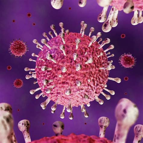 SARS Virus