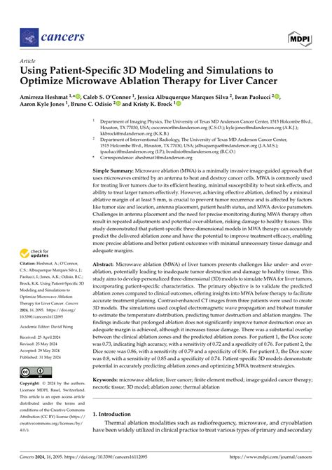 SEO Optimization For Ablation Therapy