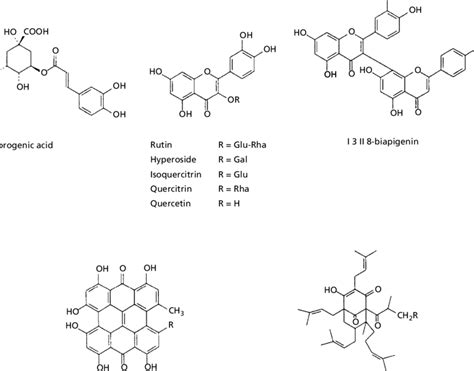 Chemical composition of Saint John's Wort
