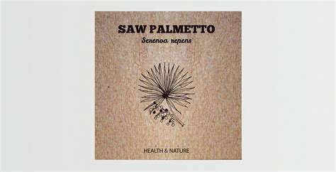 Saw Palmetto conclusion