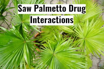 Saw Palmetto interactions