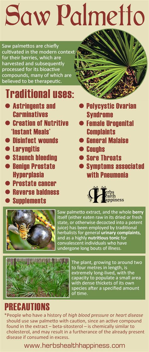 Saw Palmetto uses