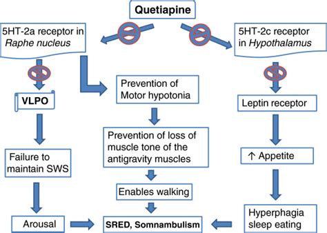 Seroquel Working Mechanism