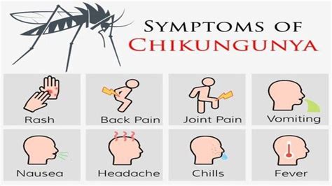 Severe Signs of Chikungunya