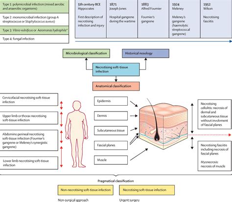 Skin and Soft Tissue Infections