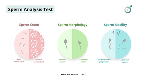 Sperm Testing Methods
