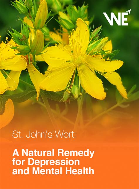 St. John's Wort and Mental Health