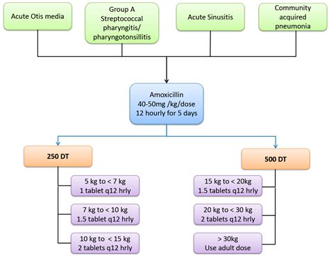 Steps to Take Amoxicillin