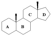 Steroids Introduction