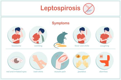 Symptoms of Vomiting and Fever