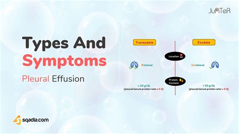 Symptoms of Pleural Effusion