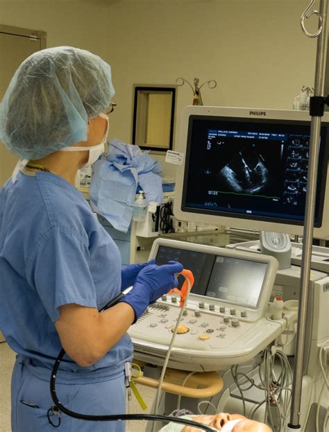 TEE Medical Procedure Image