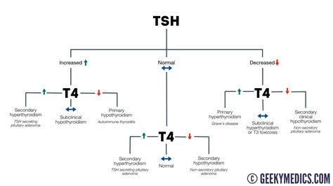 TSH Test Interpretation