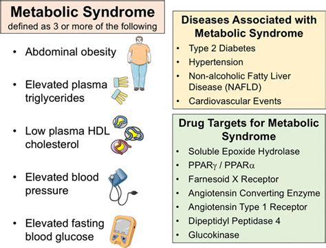 Targeted Interventions for Metabolic Disorders