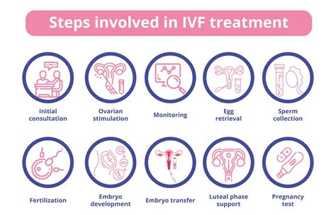 The IVF Treatment Process