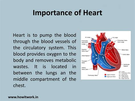 The Importance of Heartbeats
