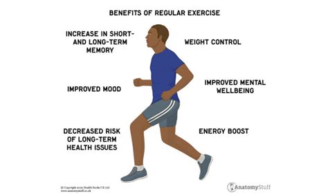 The Importance of Regular Exercise