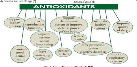 The Role of Antioxidants in Moderate Drinking