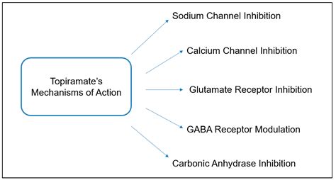 Therapeutic Applications of Topiramate