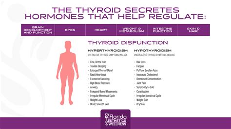 Thyroid Hormone Replacement Therapy