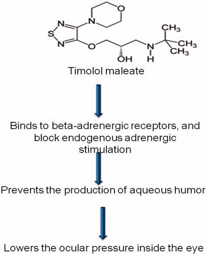 Timolol Maleate Mechanism