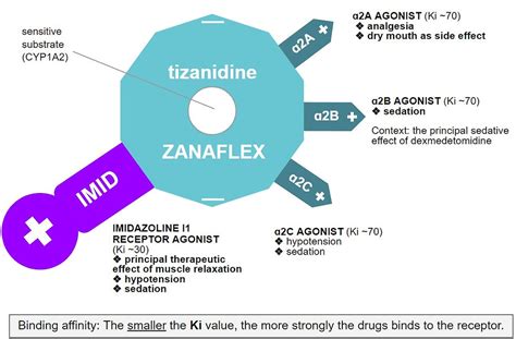 Tizanidine Mechanism of Action