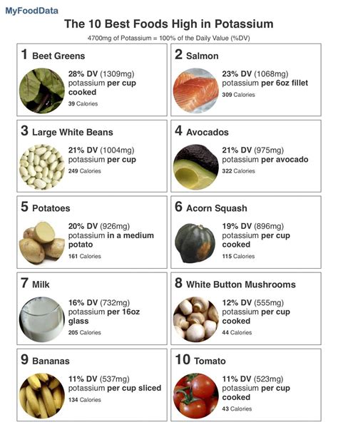Top High Potassium Foods