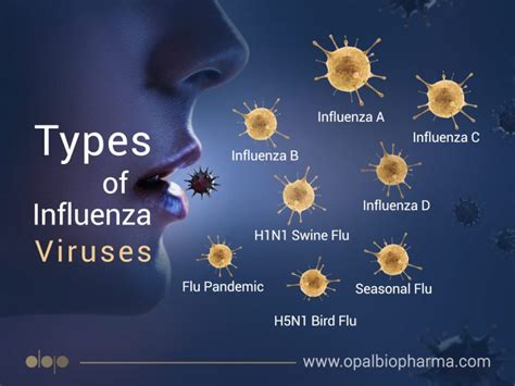 Transmission of Type A Flu Virus