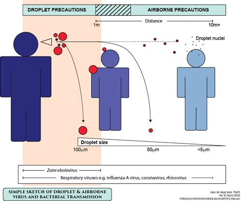 Transmission of Flu